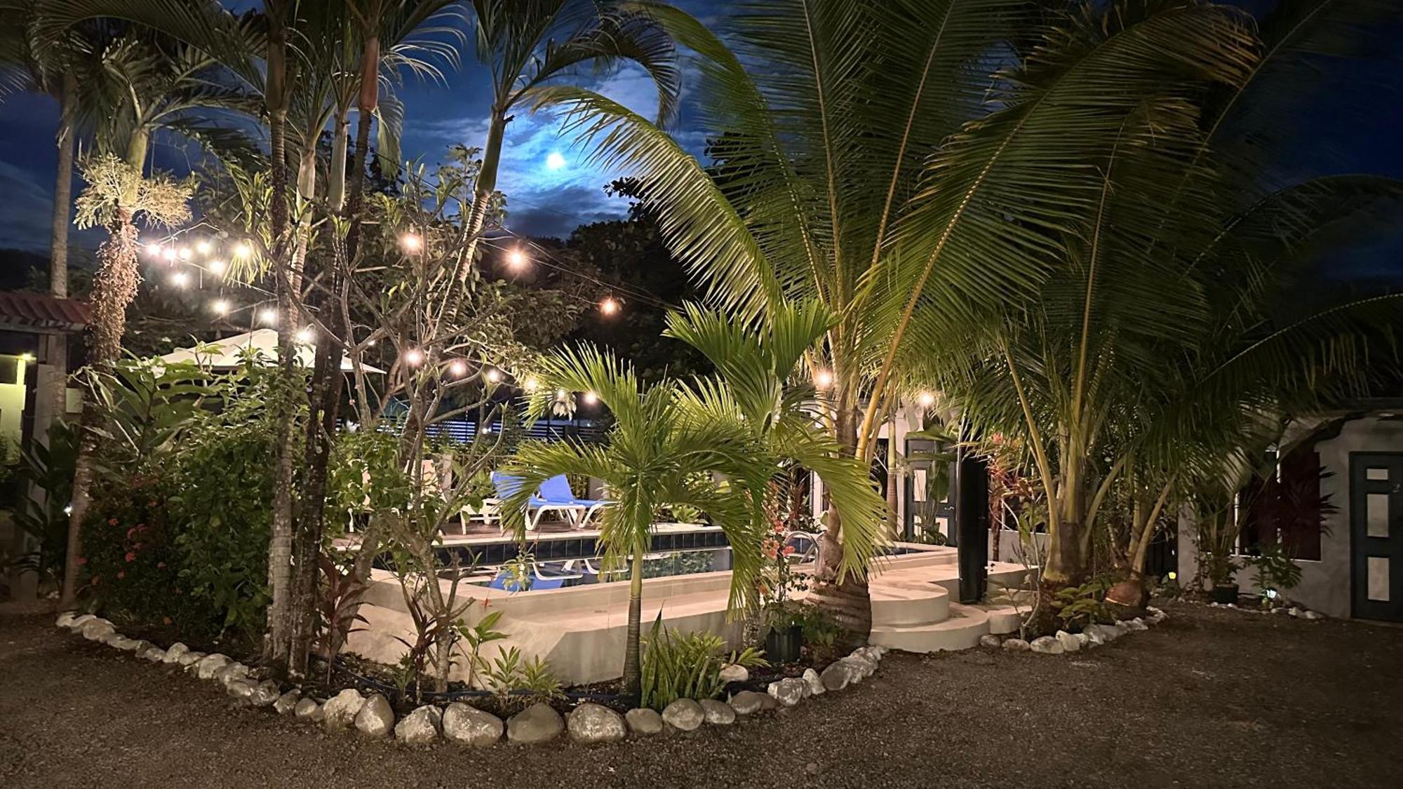 Rooms & Pool Macaws Uvita Exterior foto
